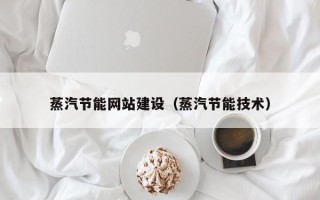 三亚蒸汽节能网站建设（蒸汽节能技术）